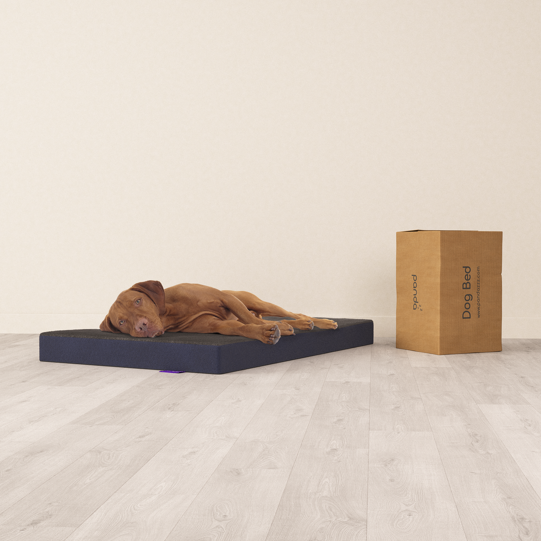 Panda Dog Bed – PandaZzz